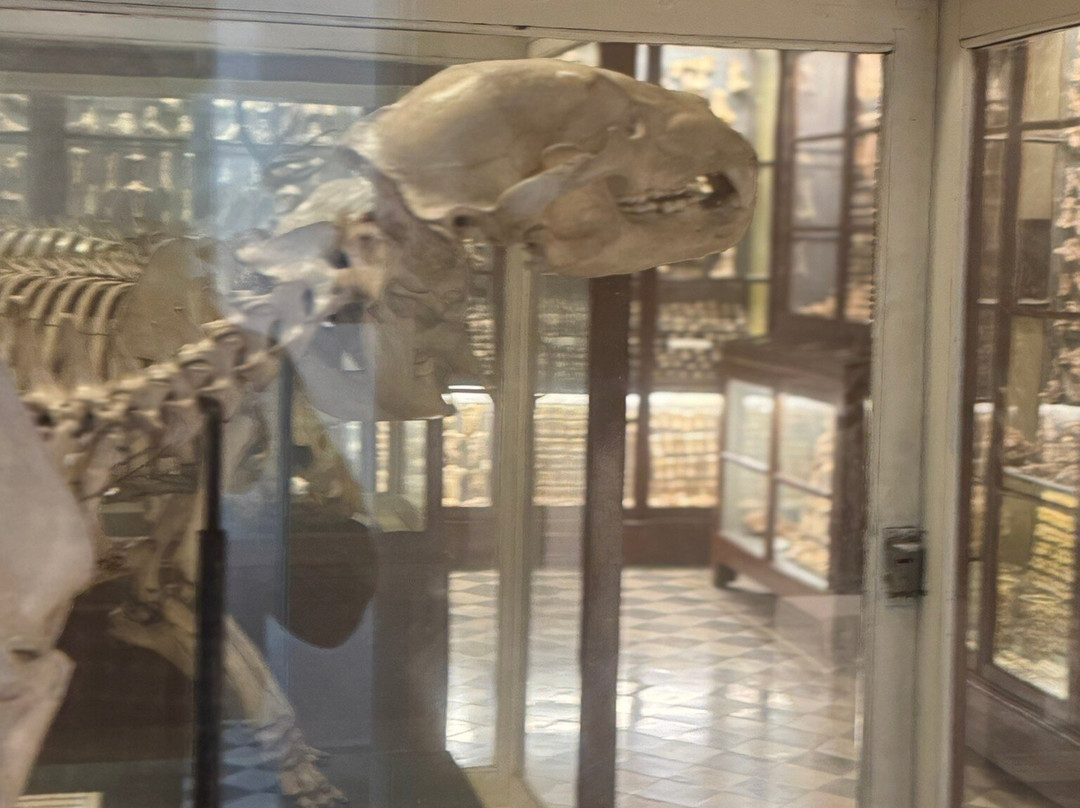 Ghar Dalam-Birzebbuga必去景点