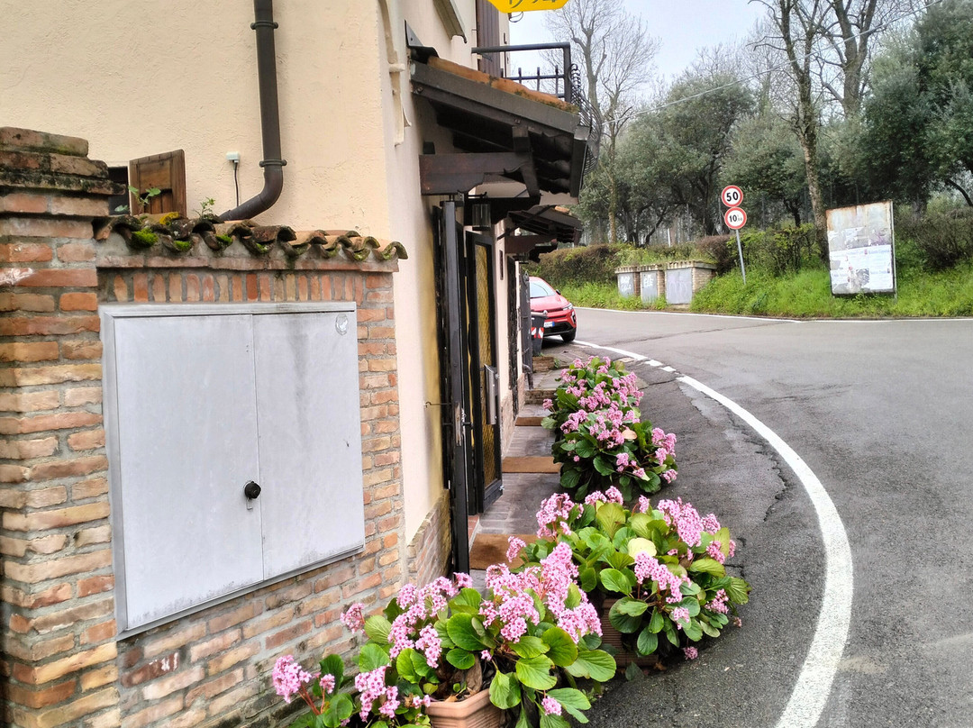 Locanda Gli Ulivi主图