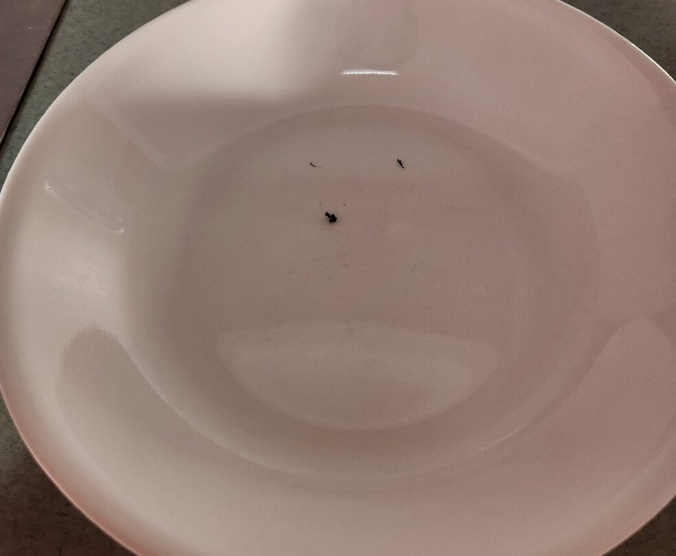 旅行者汽车村庄汽车旅馆主图