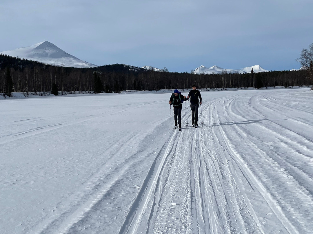 Holy Motors Camp-Kvikkjokk必去景点