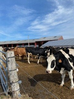 Harris Farm Sugarhouse-Dayton必去景点