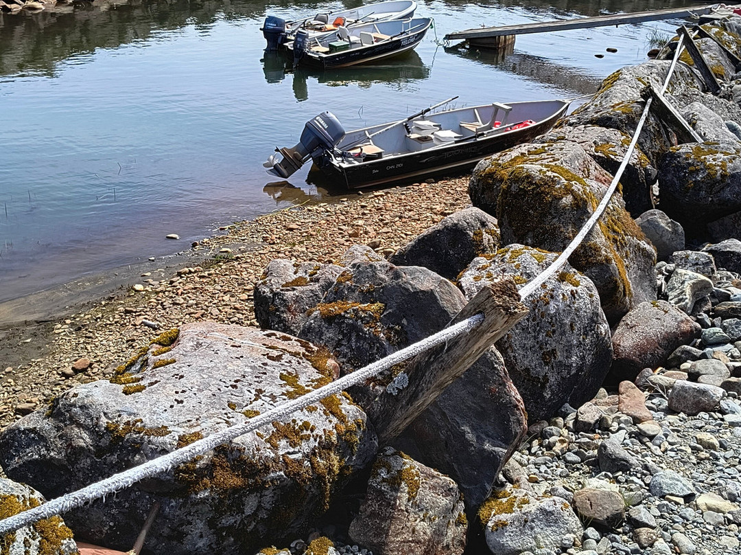 Ventisquero El Amarillo-Chaiten必去景点