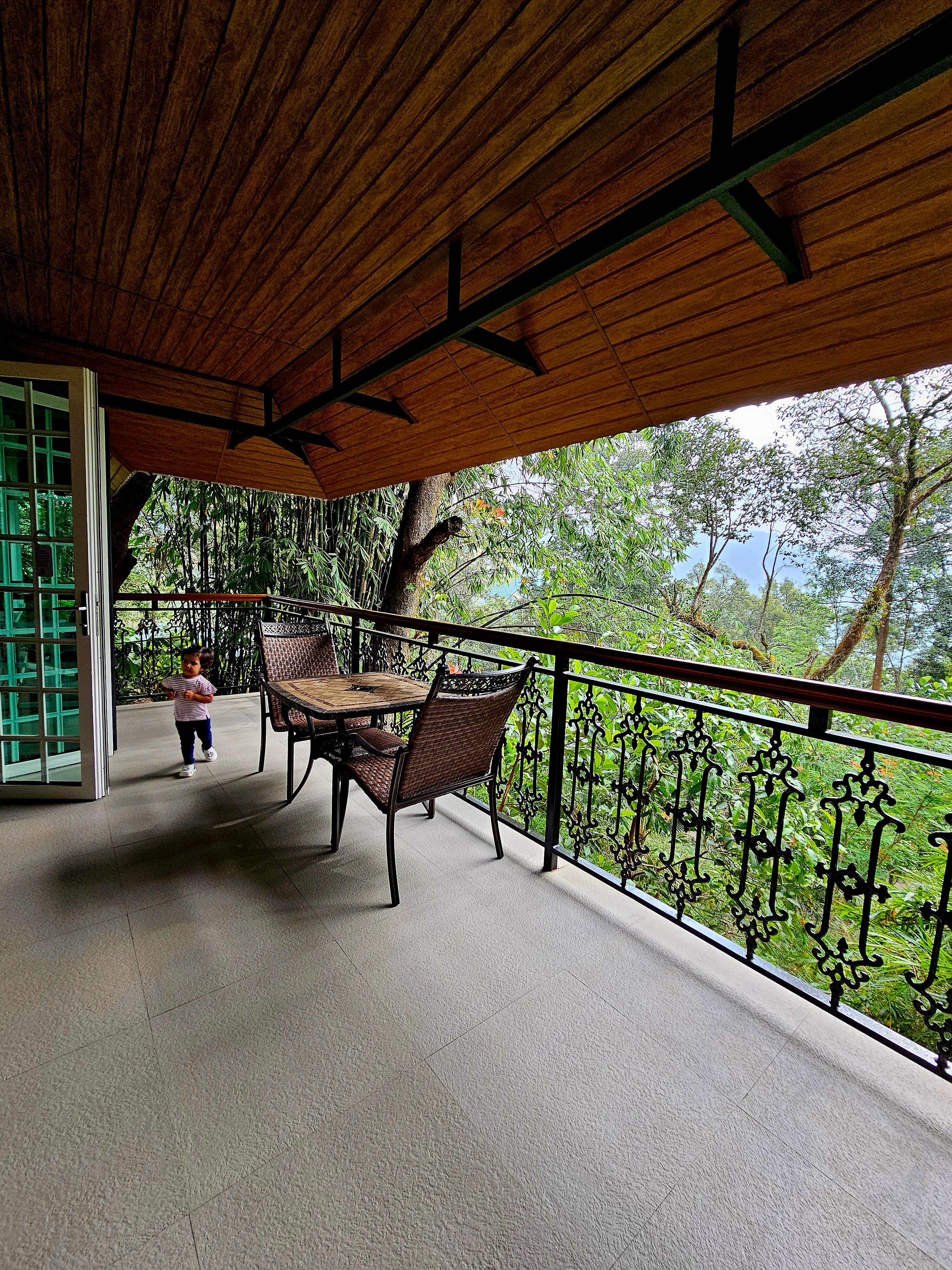 Coorg Wilderness Resort & Spa-酒店景观
