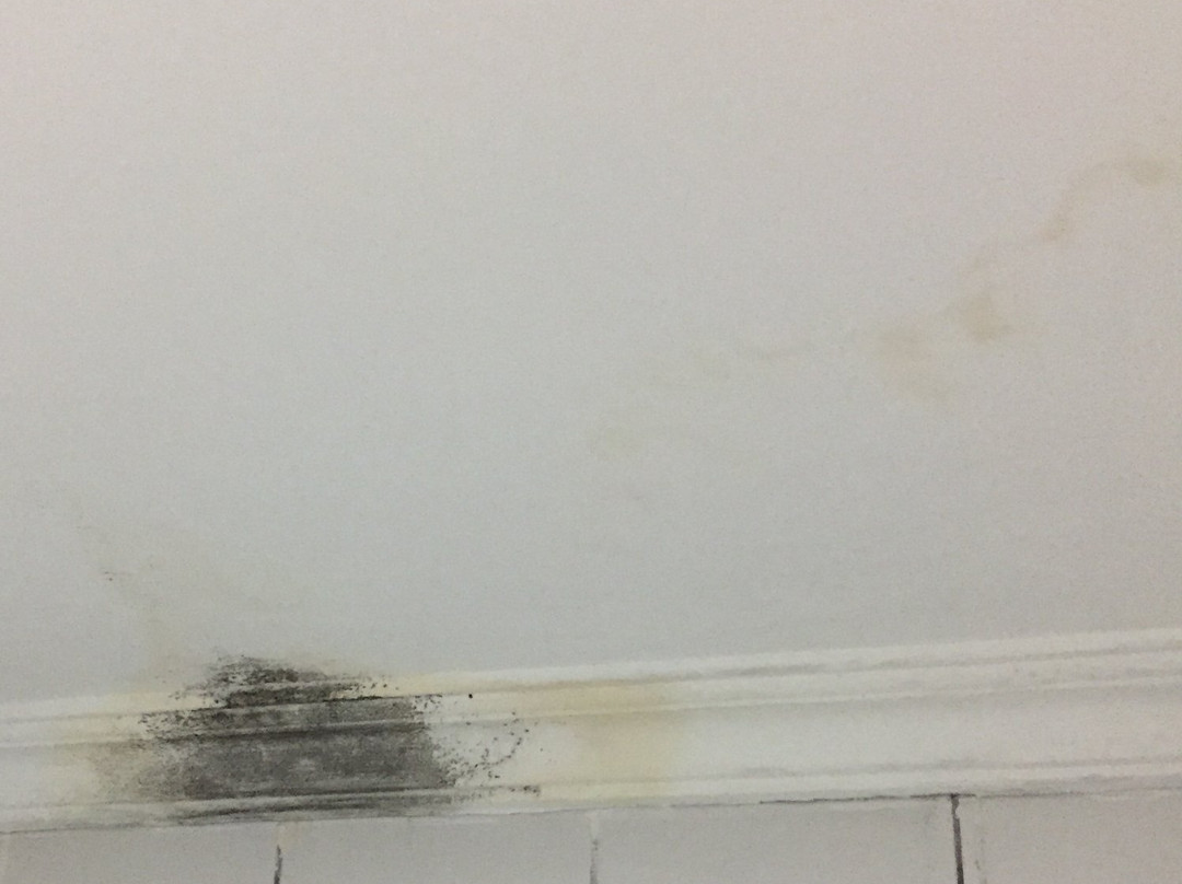 斯克西酒店主图