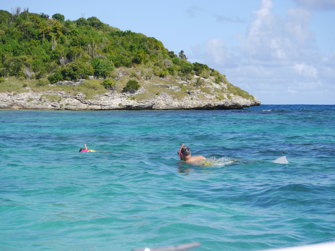 Antigua Nature Tours-圣 约翰必去景点