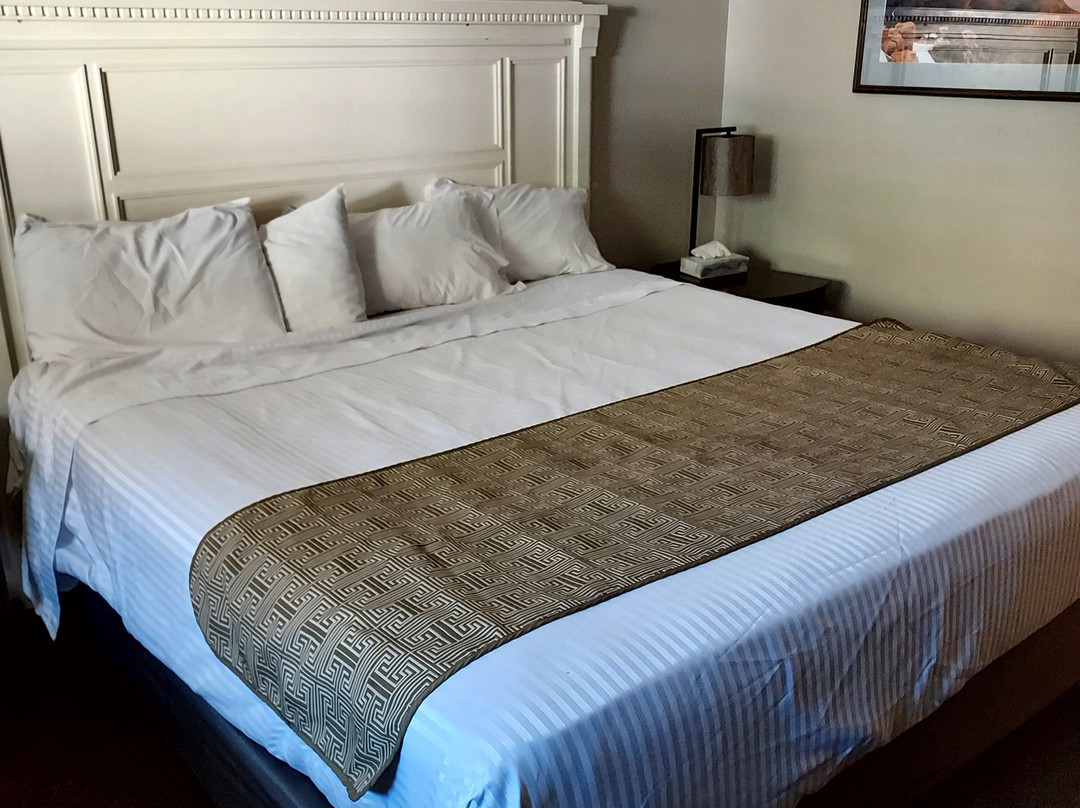 The Lava Hotel主图