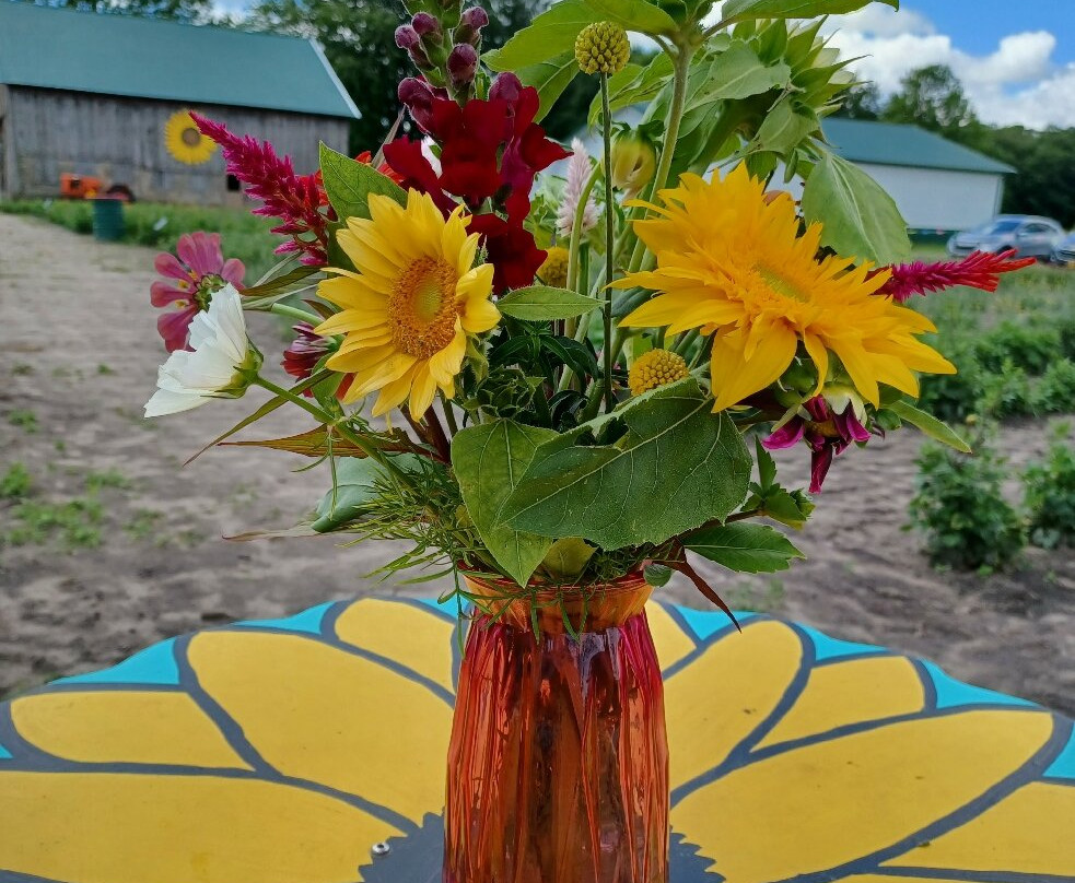 Bremer Produce U-Pick Flower Farm-Hudsonville必去景点