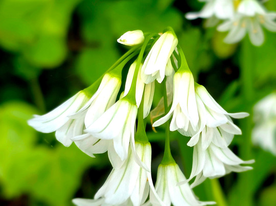 Temescal Regional Recreation Area-奥克兰必去景点
