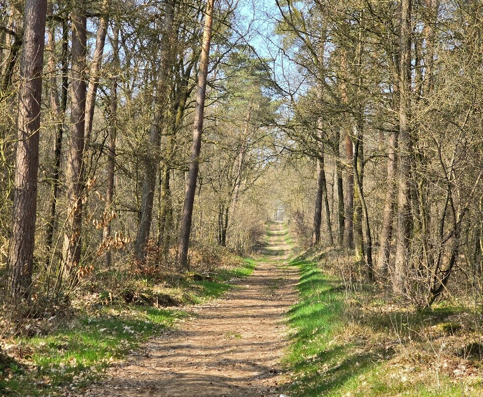 Uitkijktoren Hulzenberg-Beek Gem Montferland必去景点