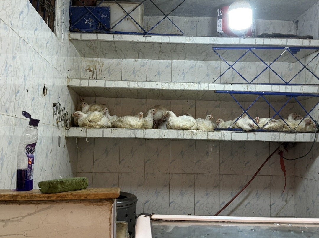 Rue du Mouassine-马拉喀什必去景点