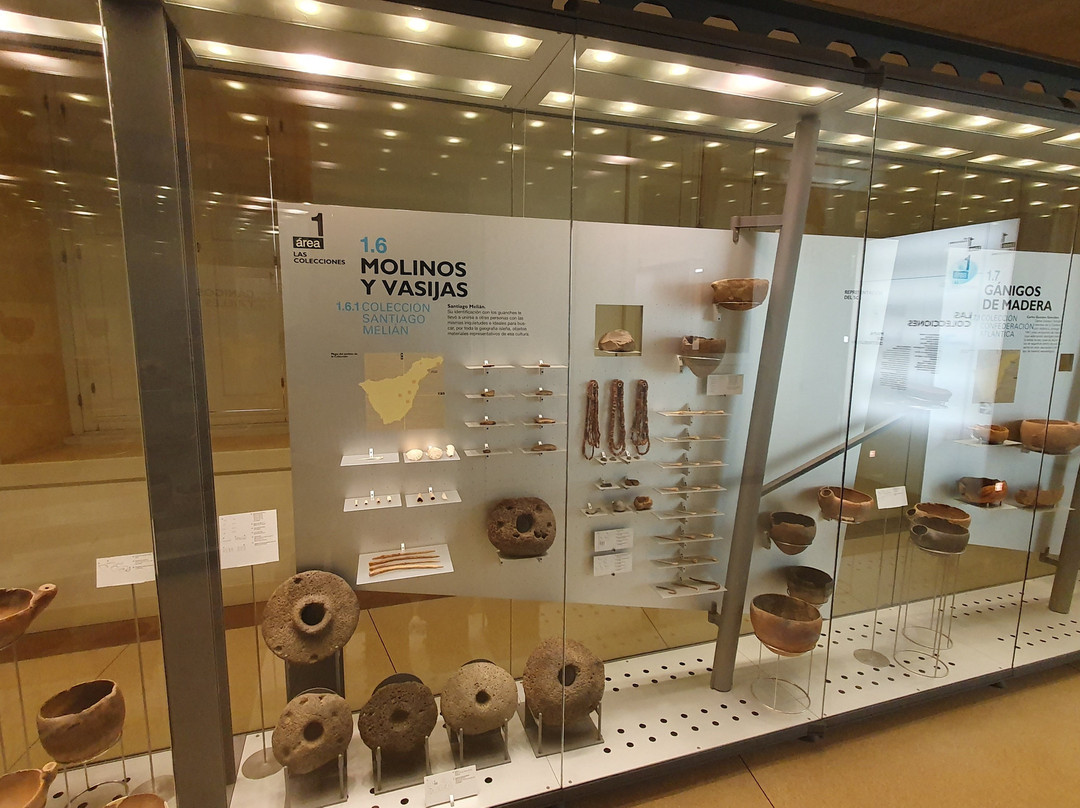 Museo de Naturaleza y Arqueologia景点图片