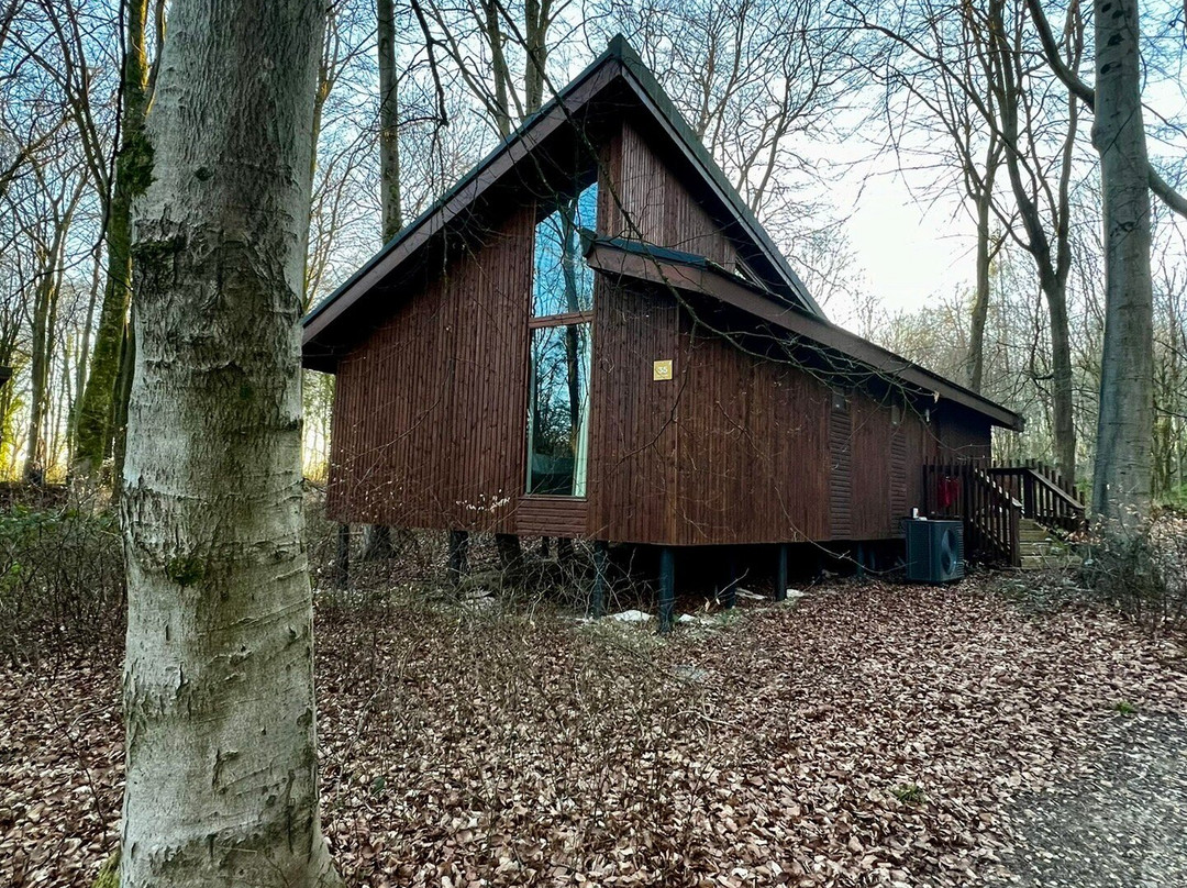 Blackwood Forest-温彻斯特必去景点