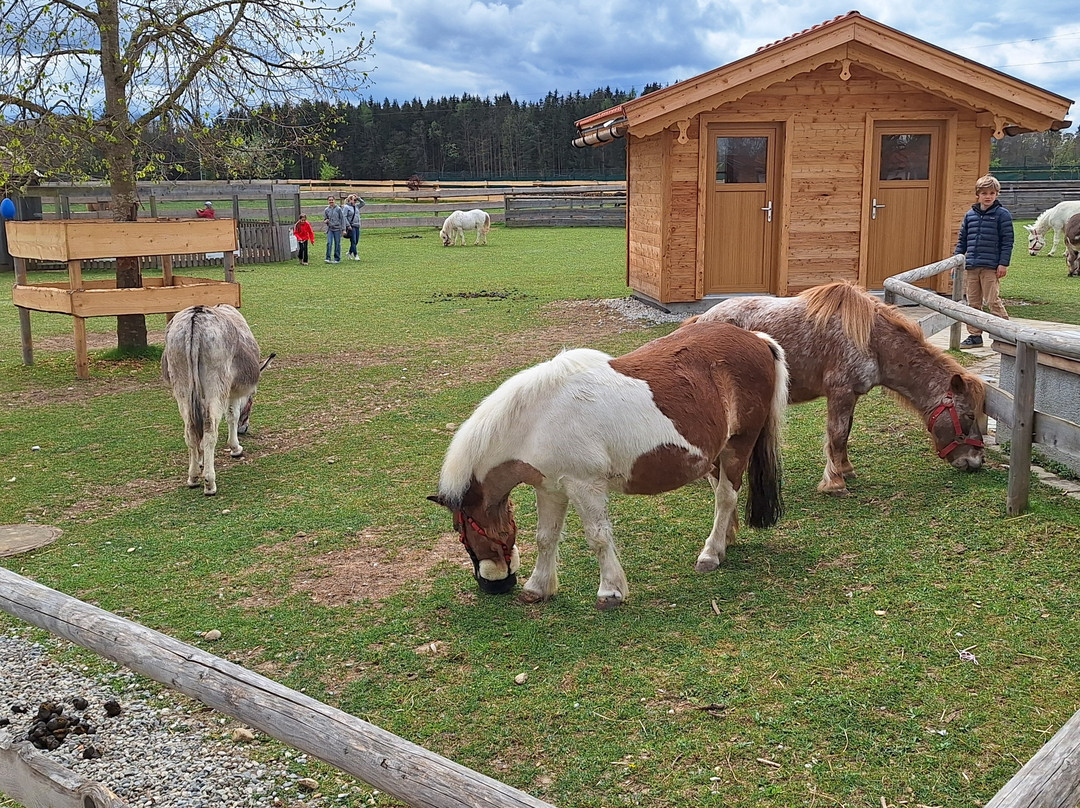 Gut Aiderbichl Iffeldorf-Iffeldorf必去景点
