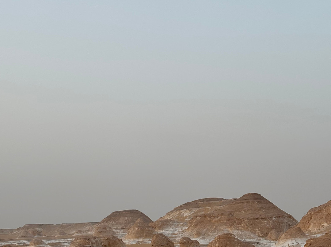 Jimmy Egypt Safari景点图片