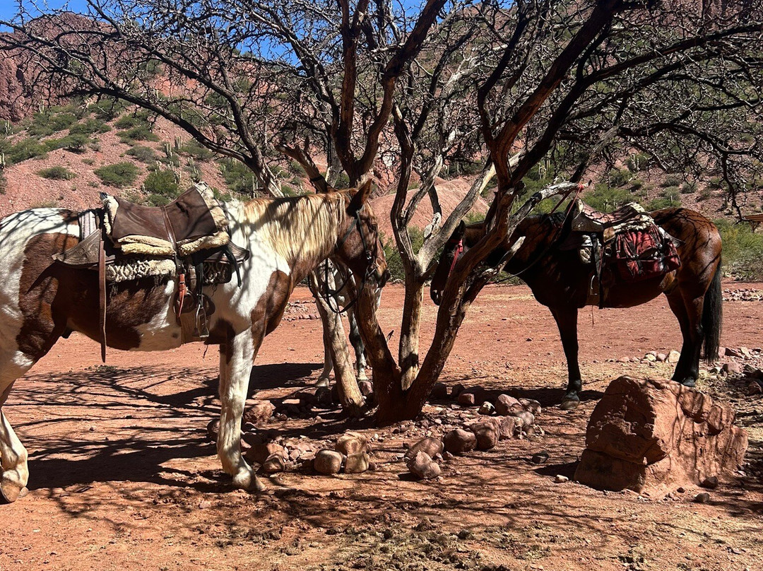 Centro Ecuestre Amazonas-Tupiza必去景点