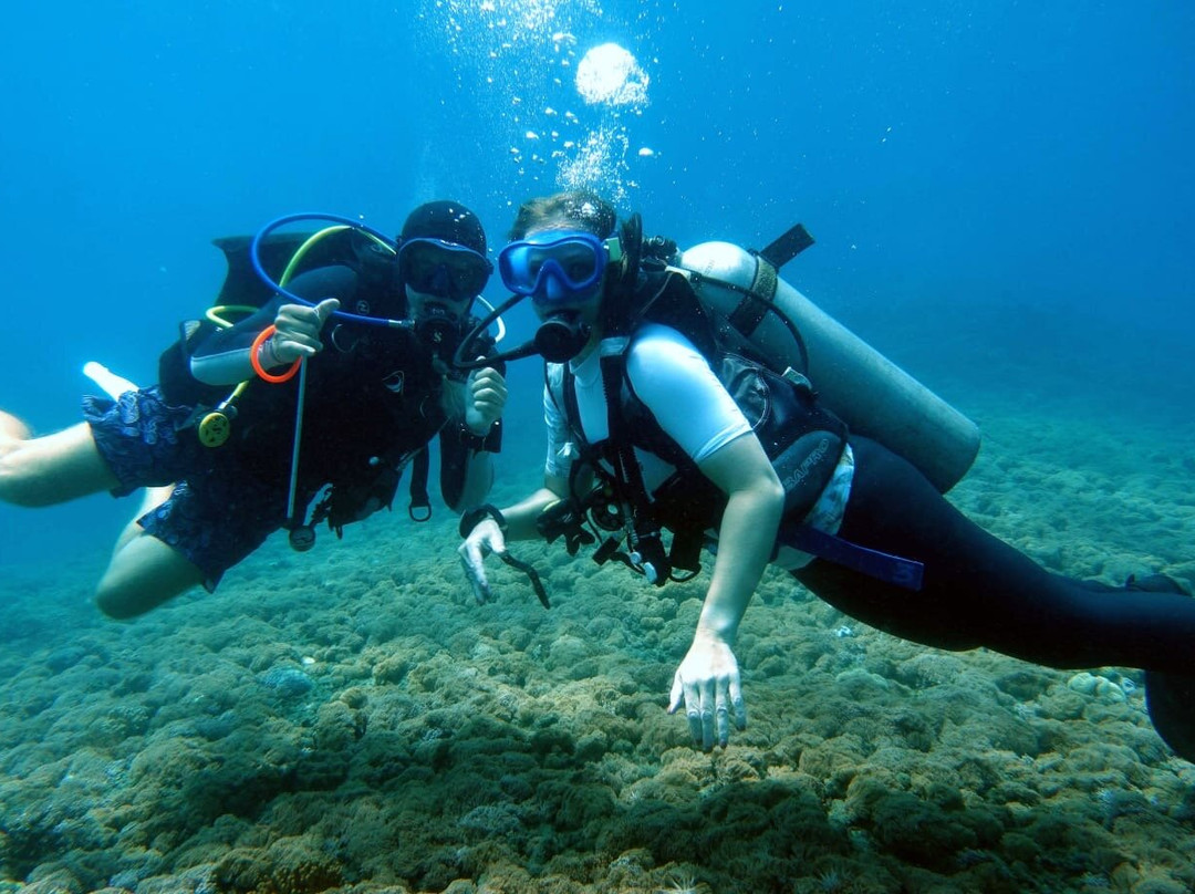 Diving Candidasa景点图片