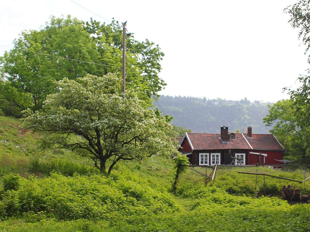 Bleikoeya Island-奥斯陆必去景点