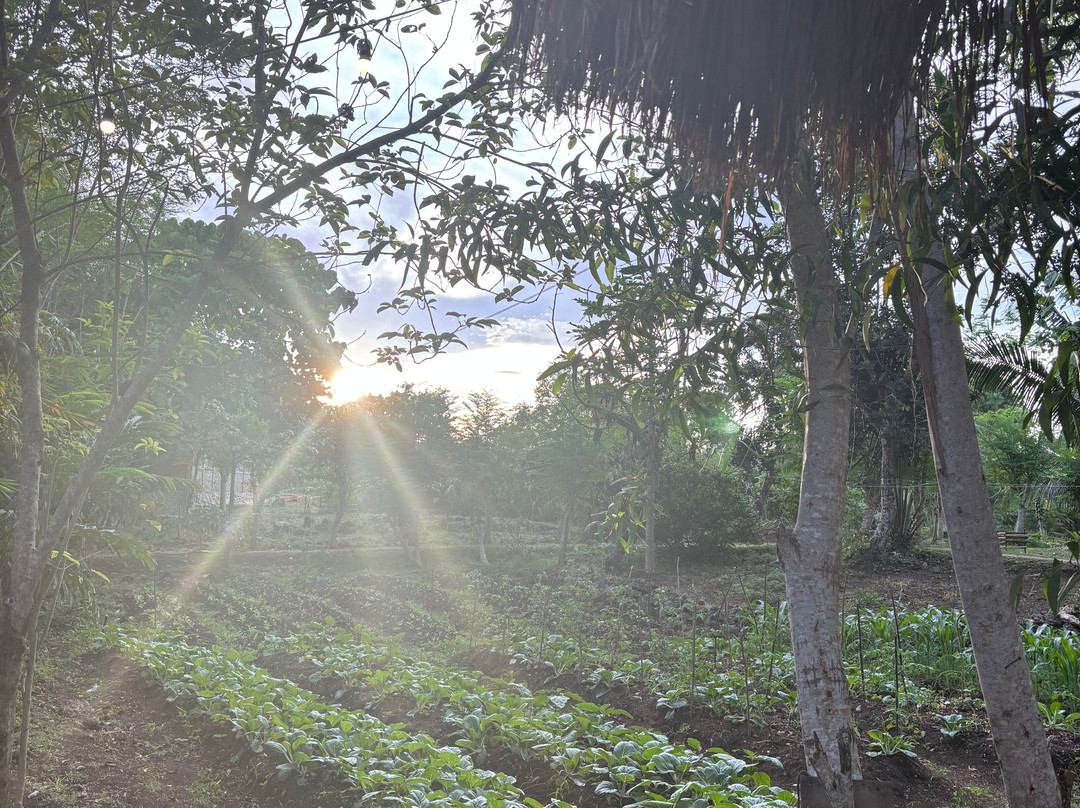 South Farm Panglao- Bohol-Panglao必去景点