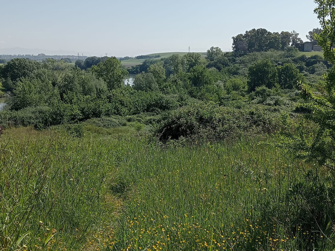 Parco Del Drago景点图片