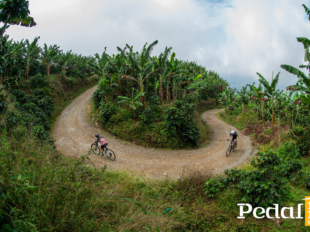 Pedal 1817 By Florida Bike Shop-Villamaria必去景点