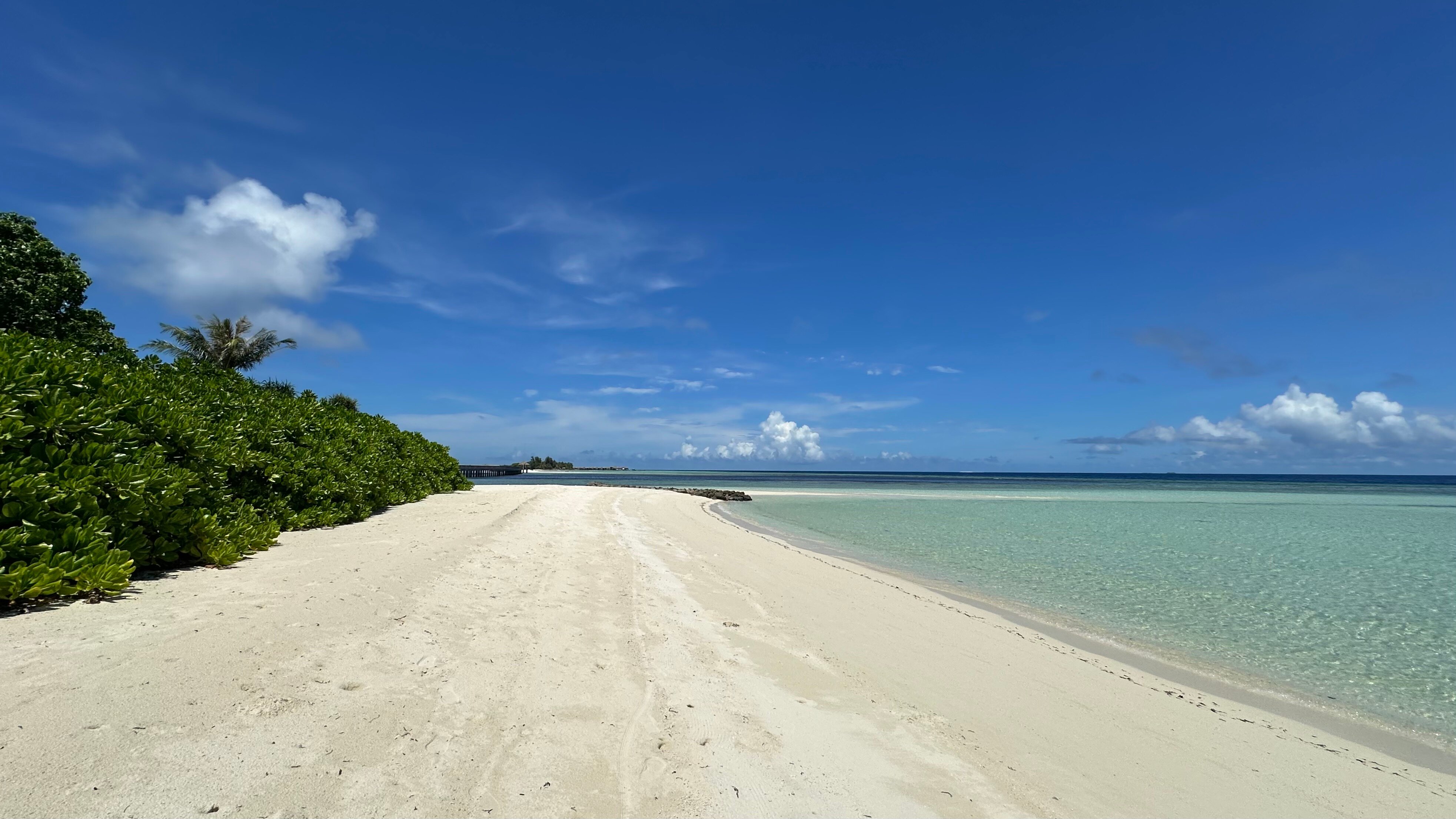 The Residence Maldives at Dhigurah-泳池