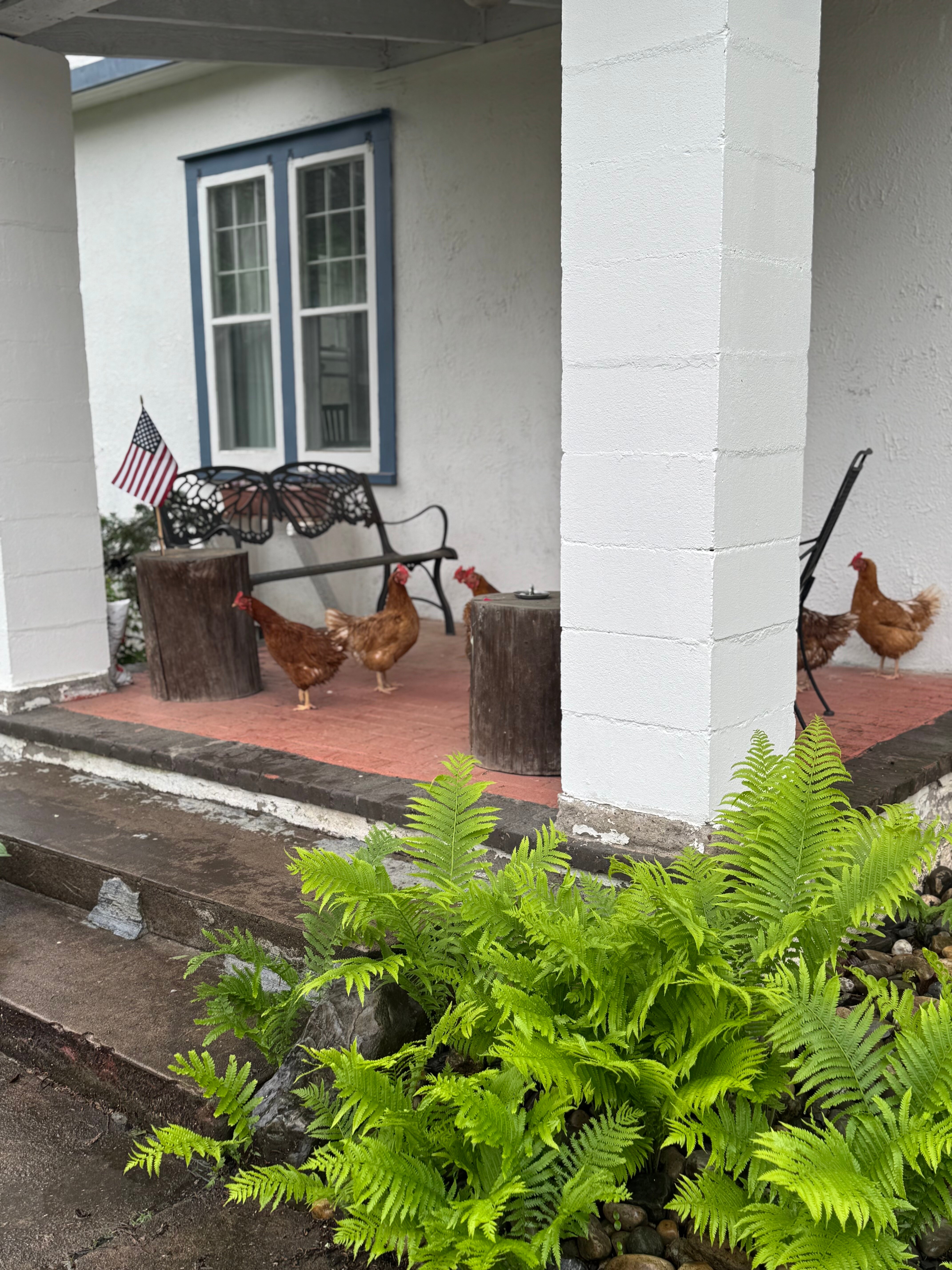 Morning Glory BnB Woodstock NY-浴室