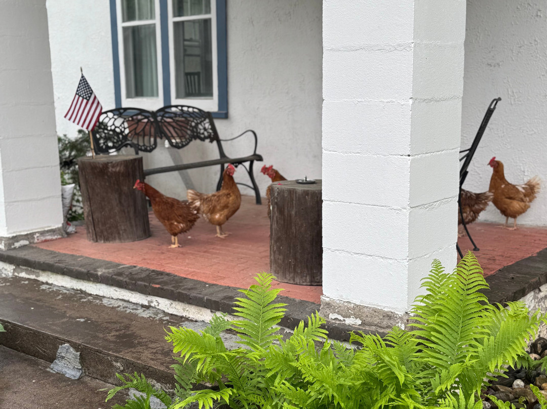 Morning Glory BnB Woodstock NY主图