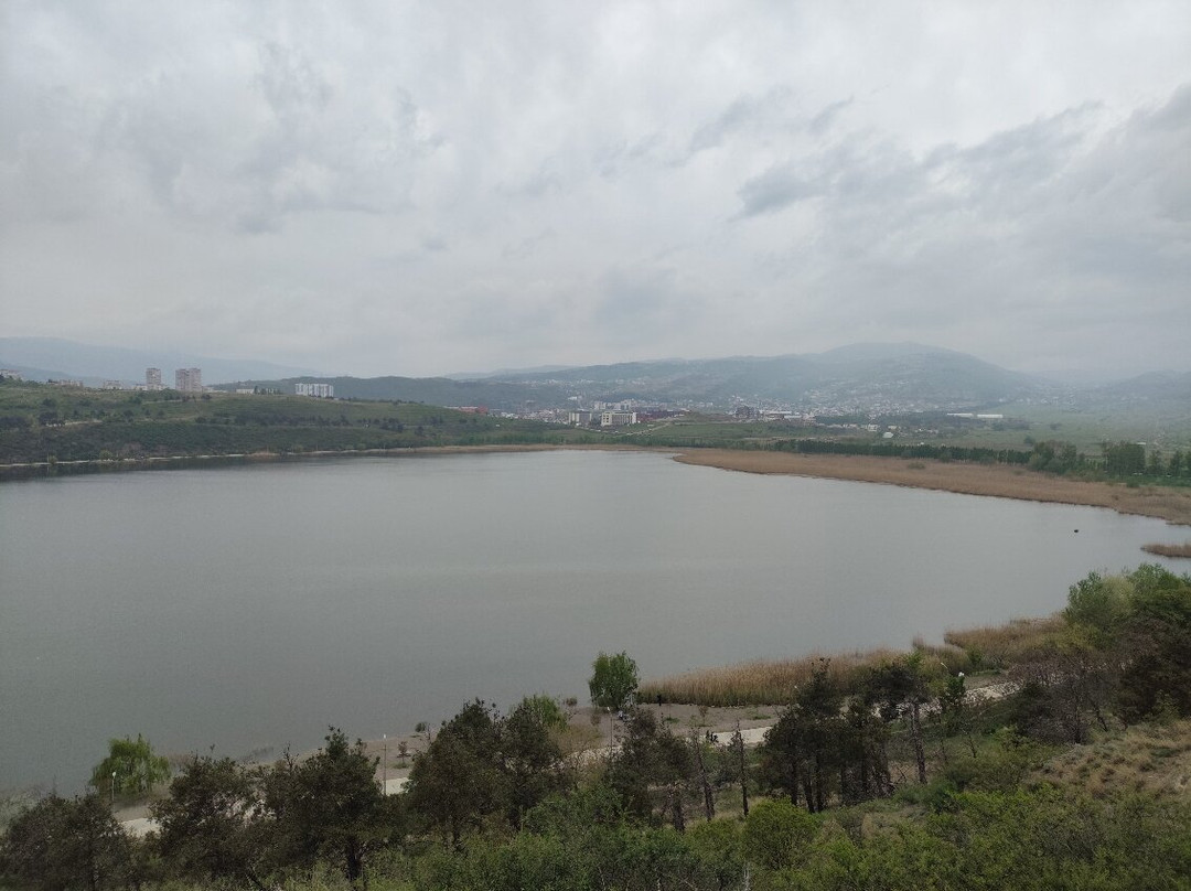 Lisi Lake-第比利斯必去景点
