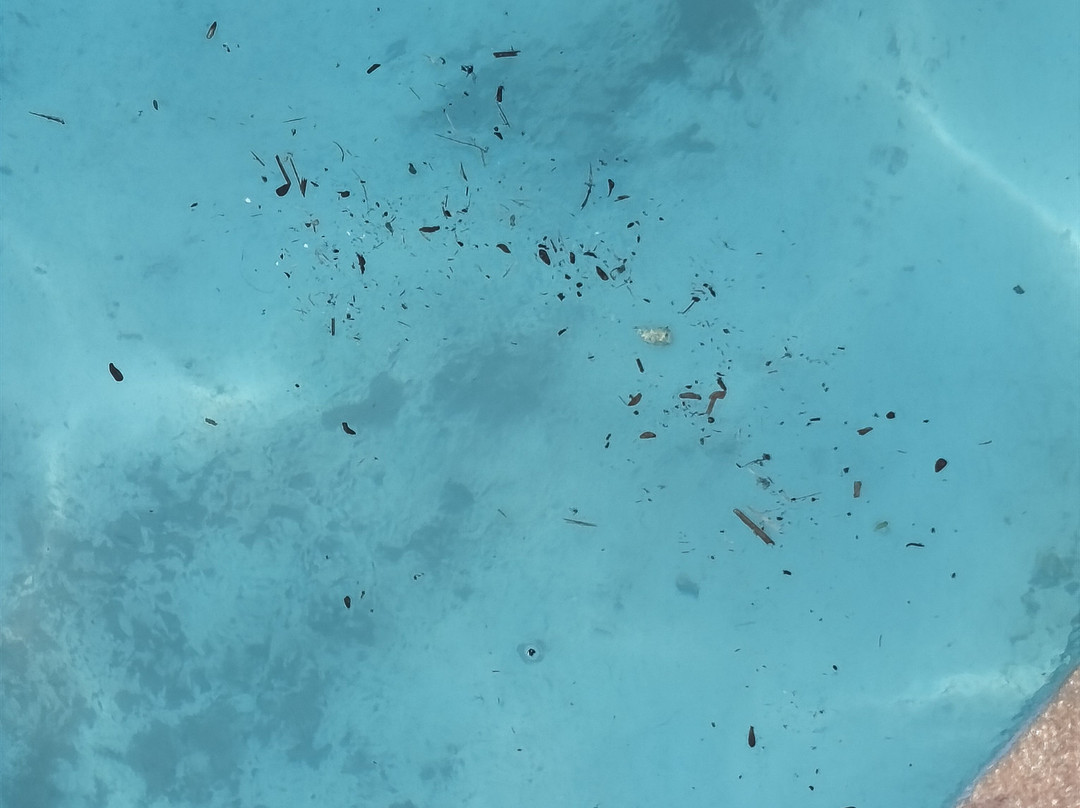 Aquaplay Park-Macapa必去景点