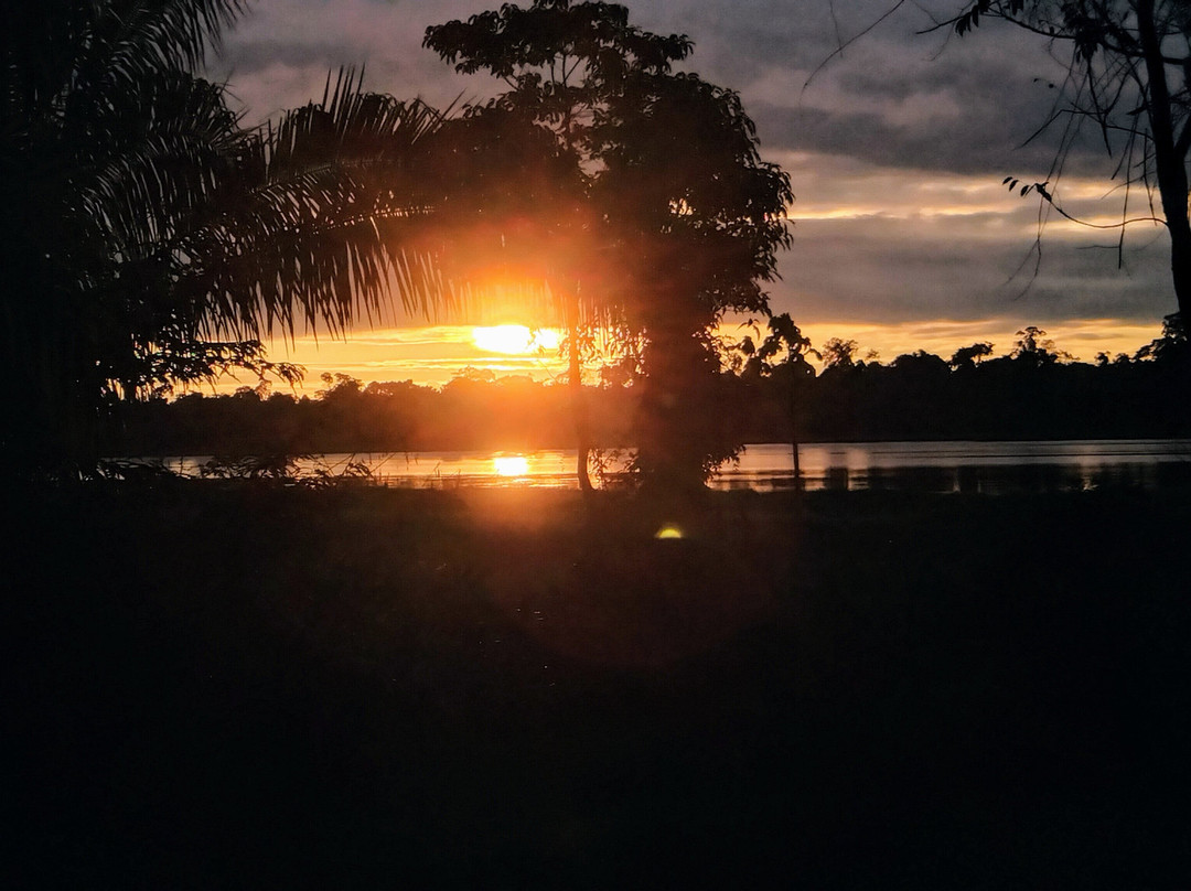 Pisatahua Plant Medicine-Riberalta必去景点