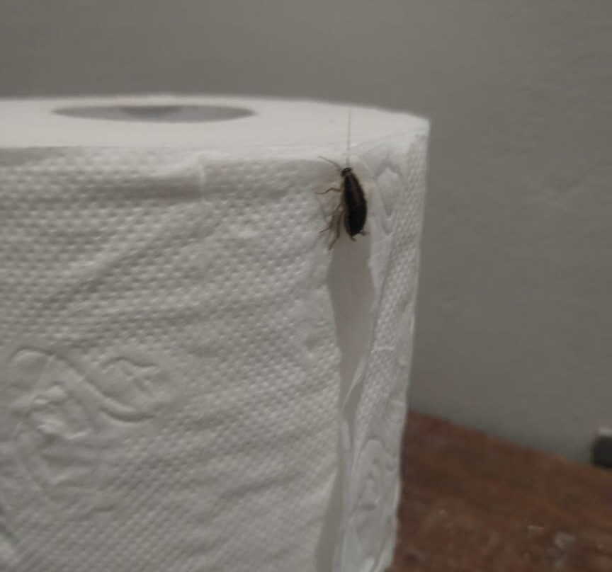 Loddey's Guest House主图