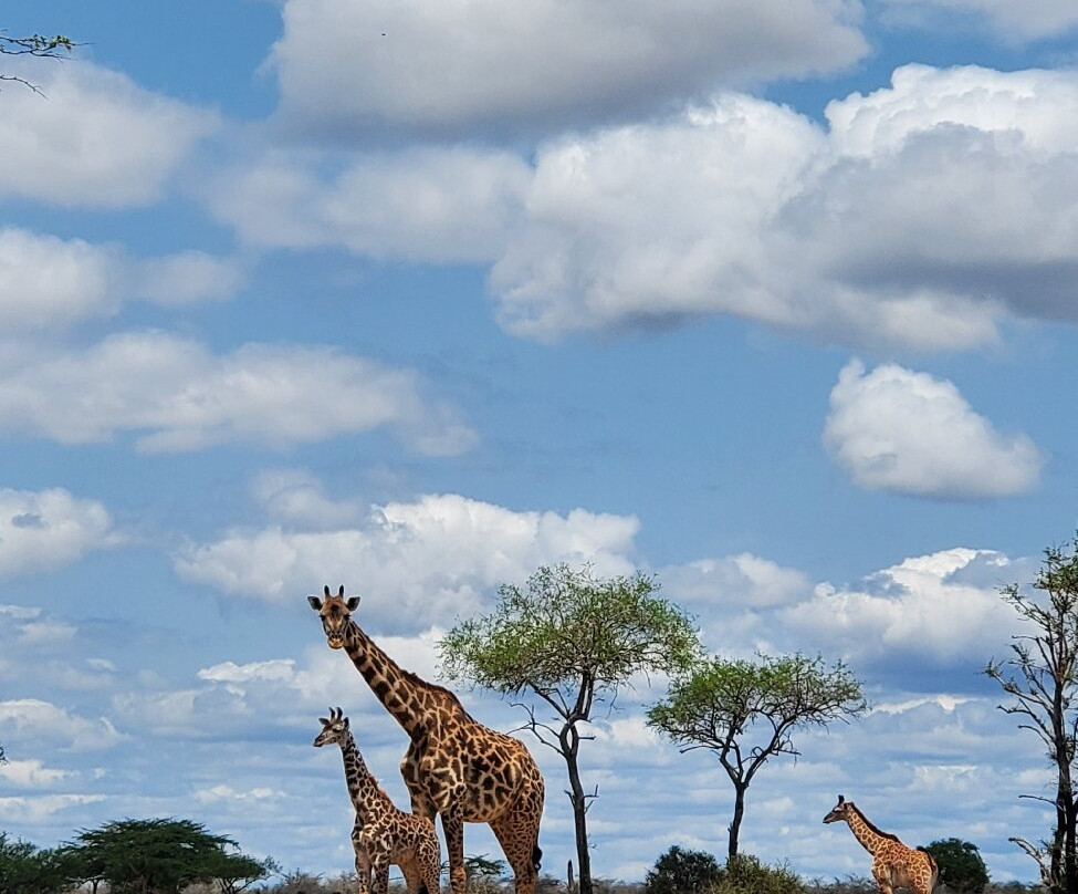 Mchaka Mchaka Tours-Mloka必去景点