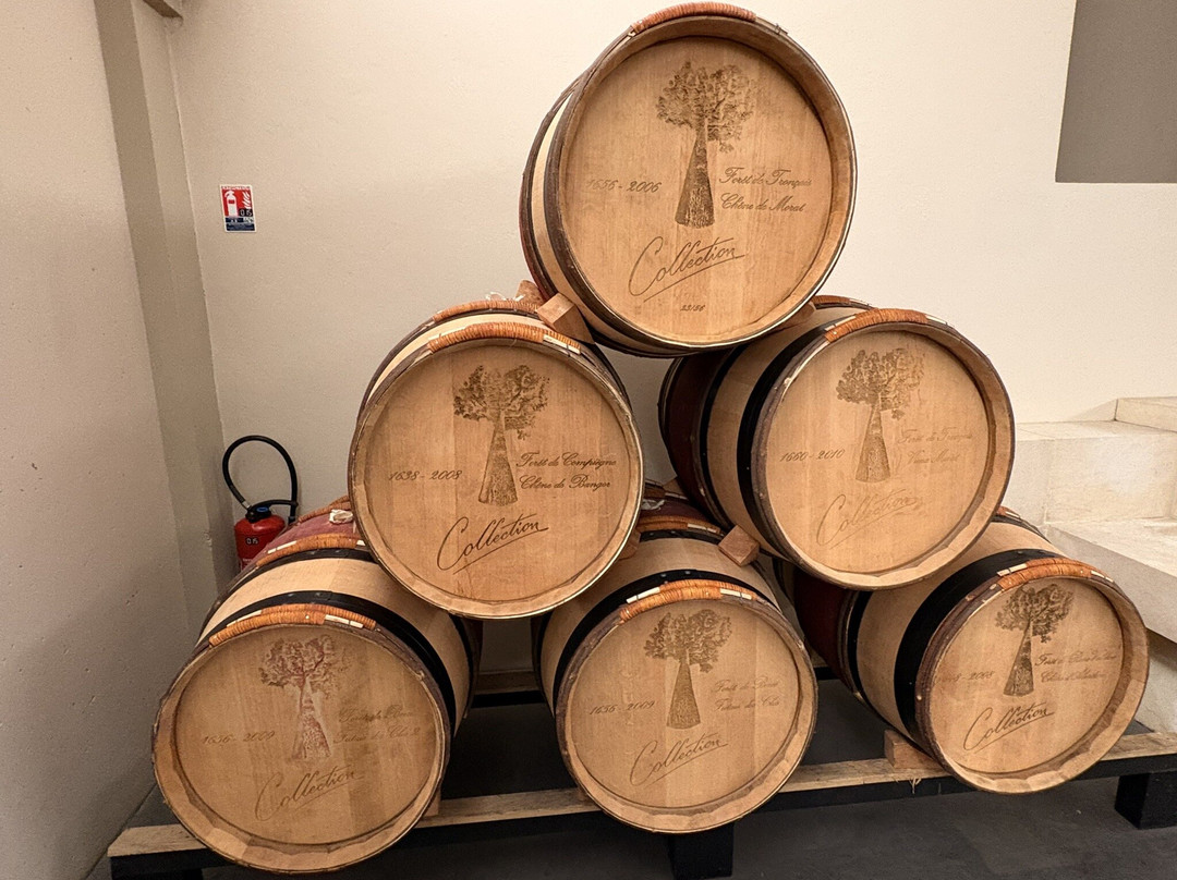 Château Lagrange-Saint-Julien-Beychevelle必去景点