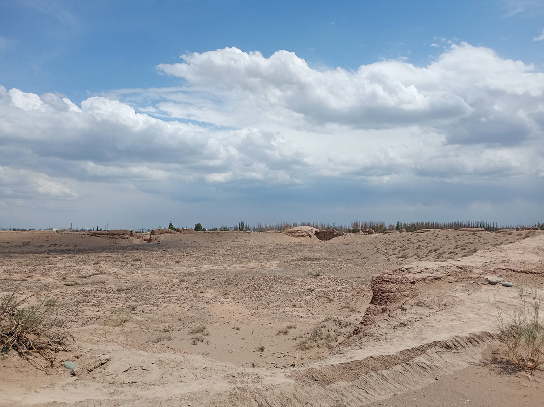 黑水国遗址及汉墓群-张掖市必去景点