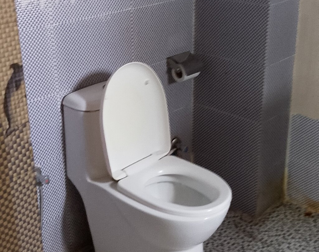 Hotel Asiatique主图