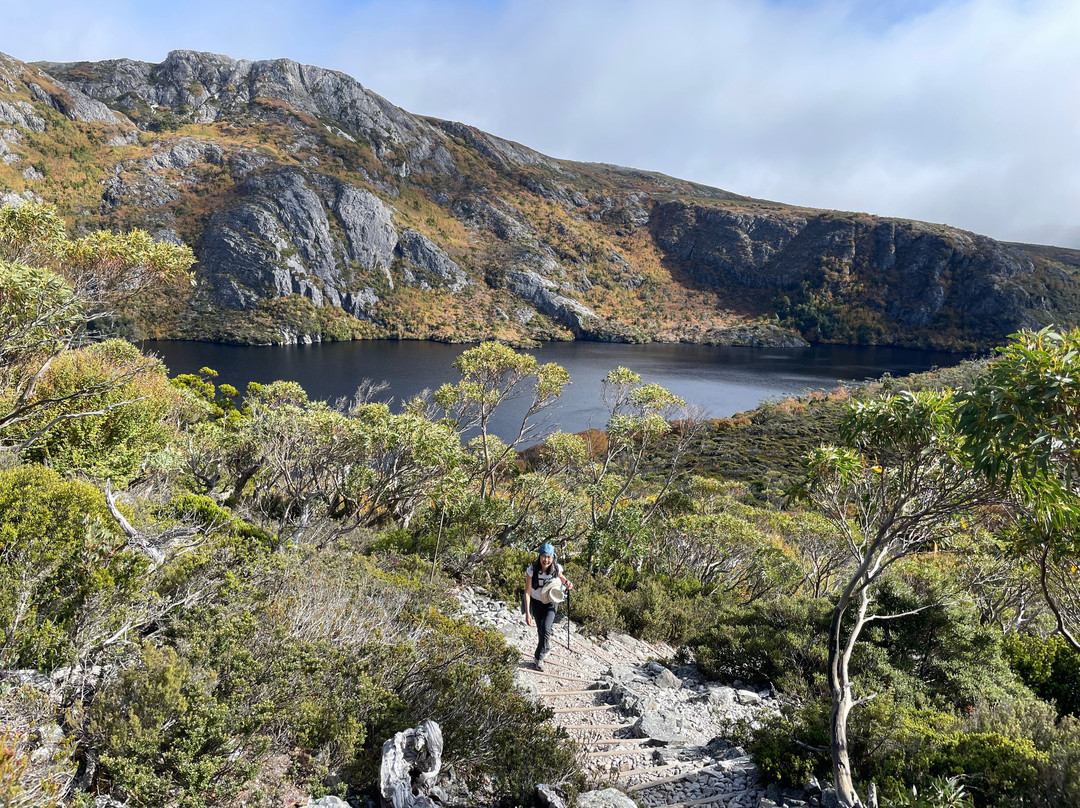 Marion's Lookout Walk景点图片