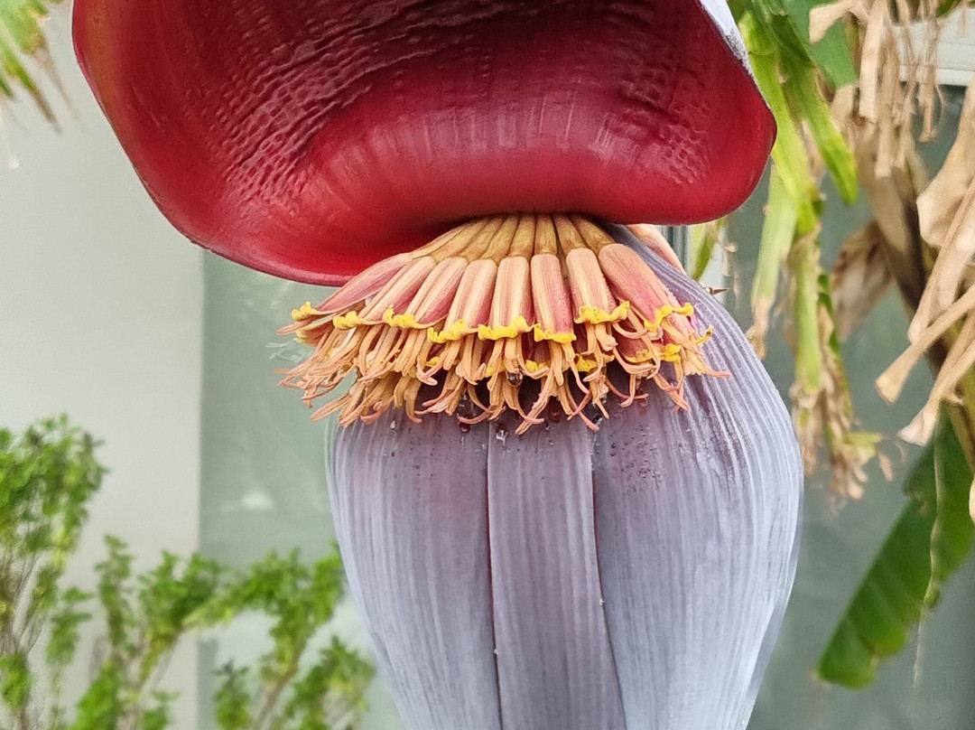 阿吉斯缇斯酒店主图