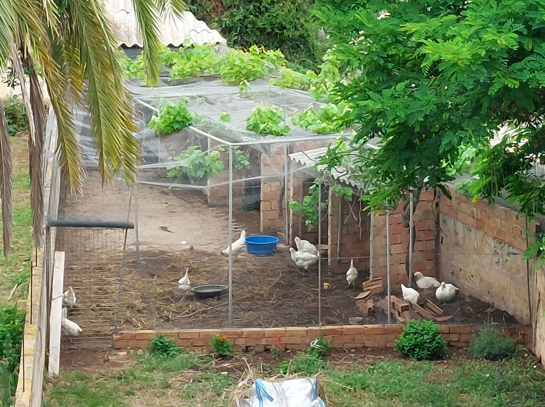 Hotel Cala Bona主图