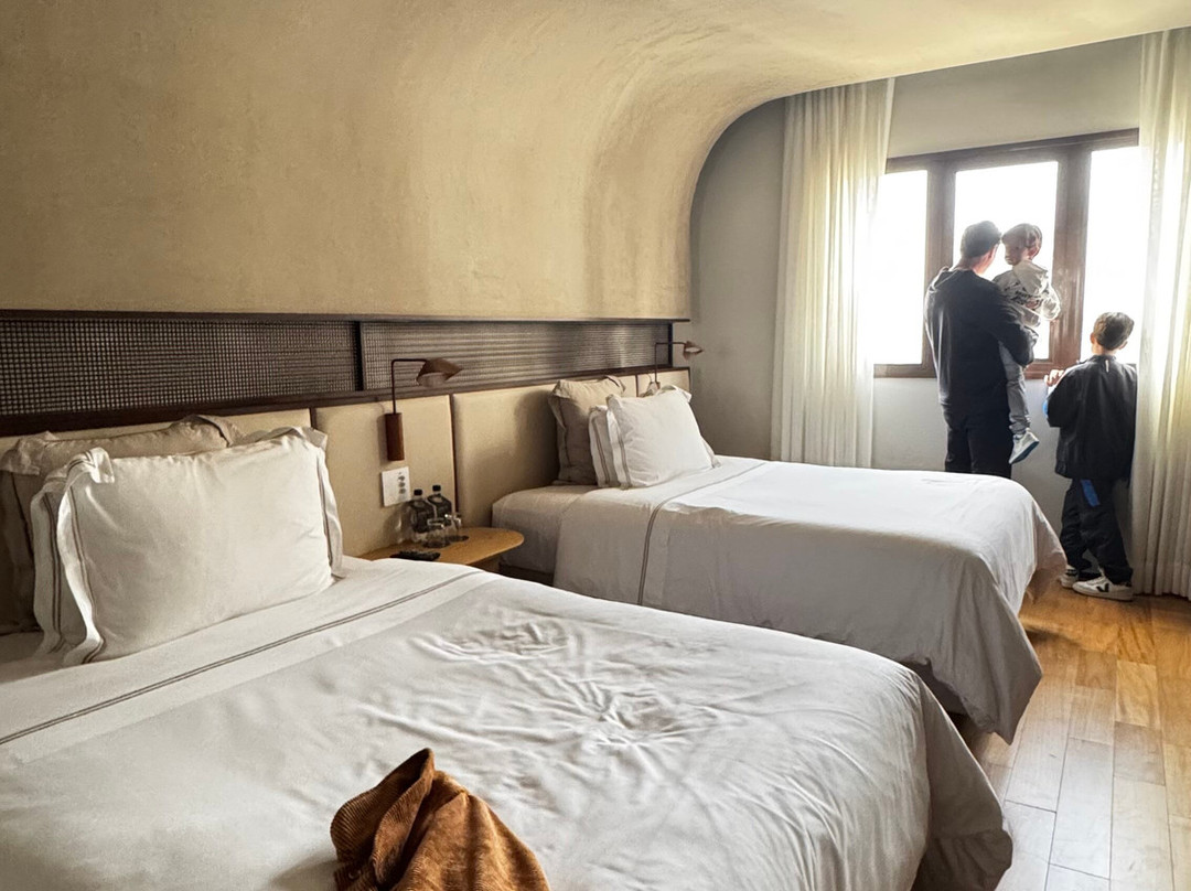 Qoya Hotel Curitiba, Curio Collection by Hilton主图