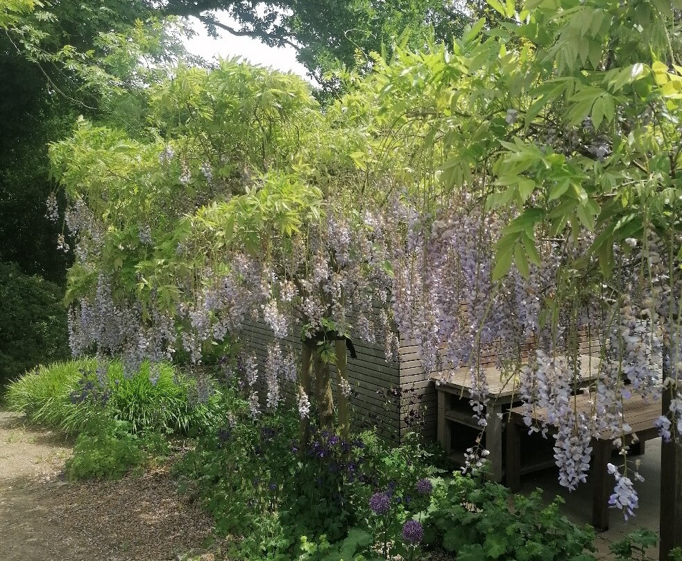 Arboretum Ellerhoop景点图片