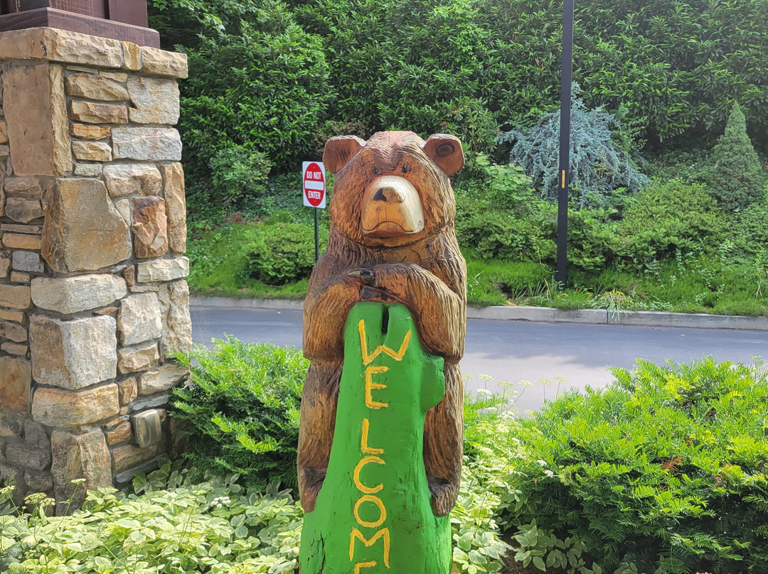 Holiday Inn Asheville East-blue Ridge Pkwy By IHG主图