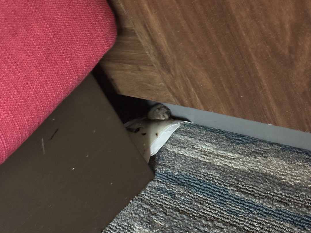 Hampton Inn & Suites Madera主图