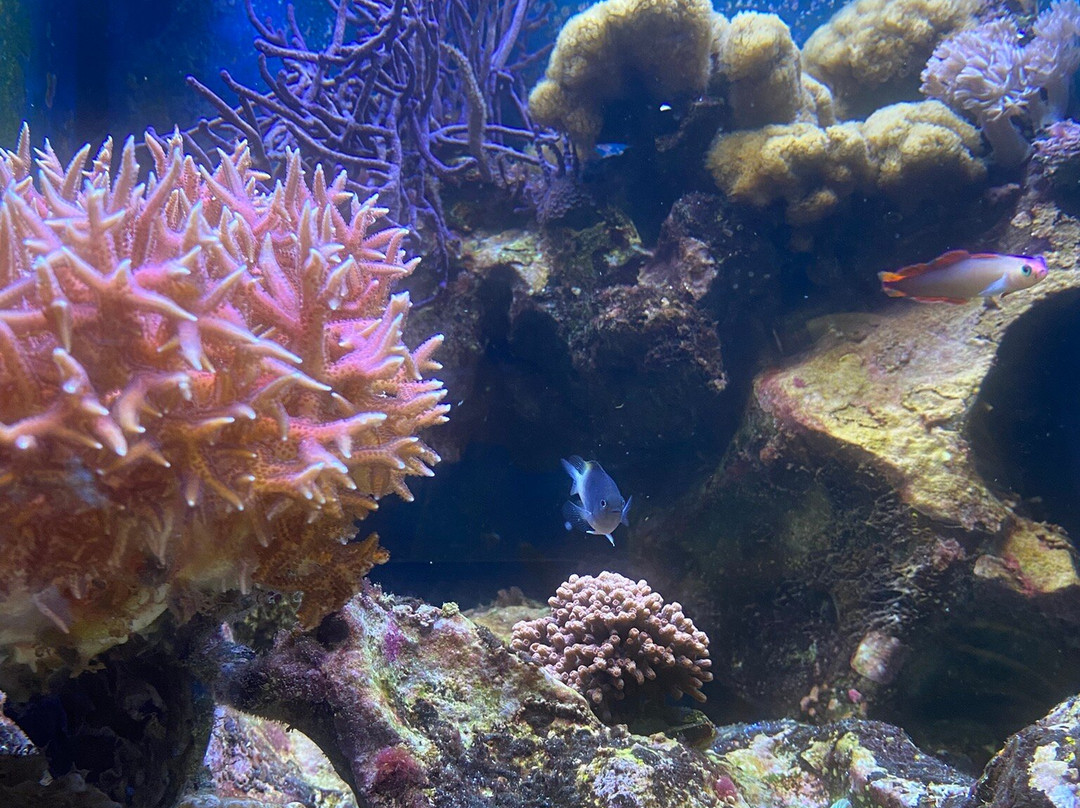 Aquazoo Loebbecke Museum-杜塞尔多夫必去景点