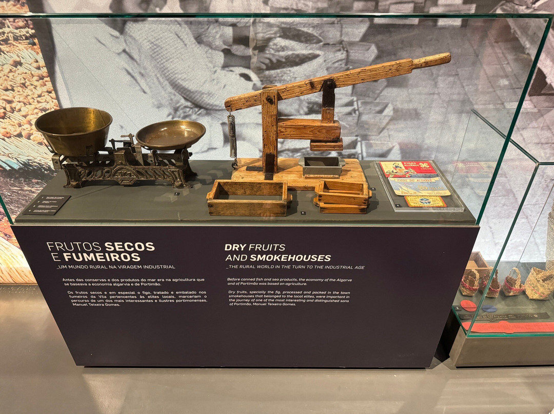Museu de Portimao景点图片