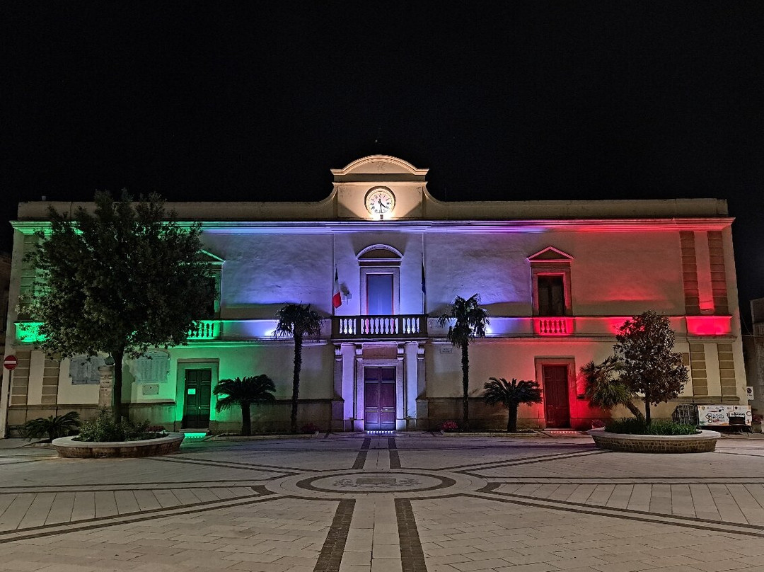 Municipio cittadino (Palazzo Ducale)景点图片