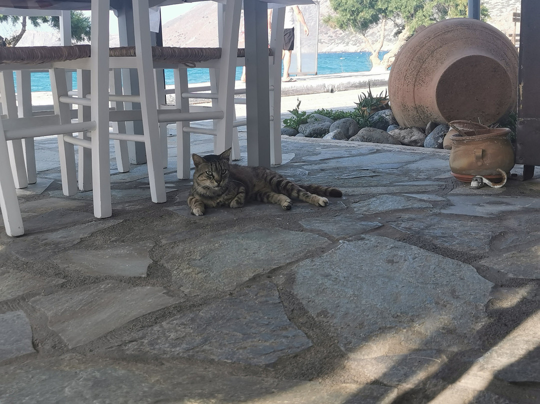 Pachia Ammos Beach-Pachia Ammos必去景点