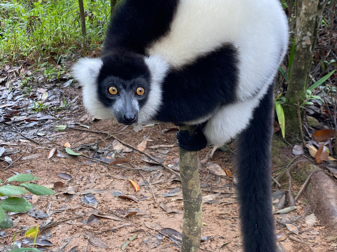 Ramartour Madagascar s.a.r.l.景点图片
