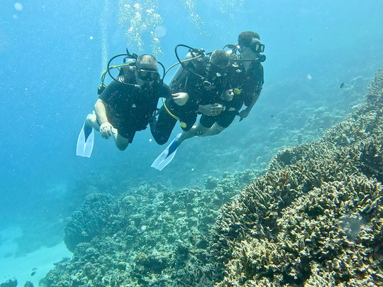 Dive Club Port Ghalib & Marsa Alam Diving Center-马萨阿拉姆必去景点