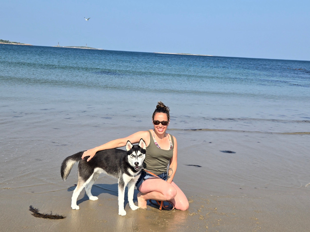 Cape Ann Motor Inn主图