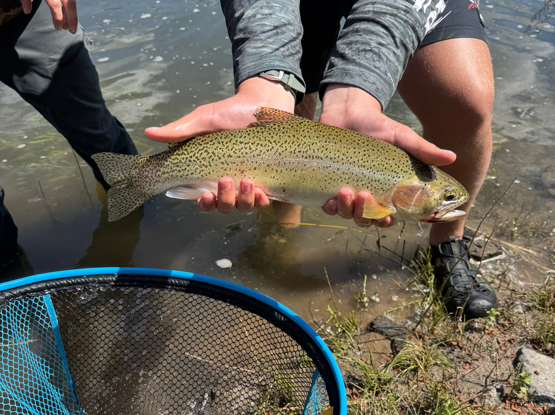 Adventure Missoula-Alberton必去景点